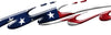 american flag decal enlarged to see detail